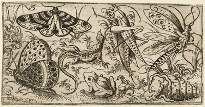 Grupp av insekter och djur på en slät mark med gräs..., 1530 - 1562. av Virgil Solis