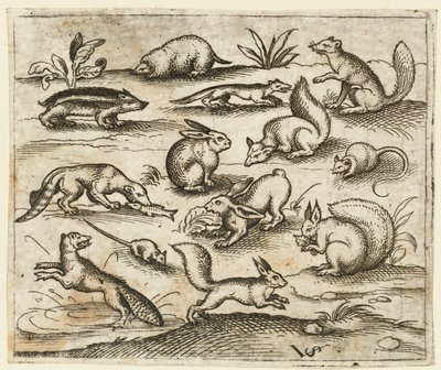 Grupp av små skogsvarelser som äter och springer runt en damm, inklusive en mus..., 1557. av Virgil Solis