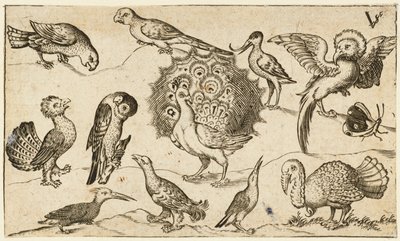 Påfågel i mitten omgiven av nio andra fåglar, inklusive en kalkon och en fjäril..., 1572. av Virgil Solis