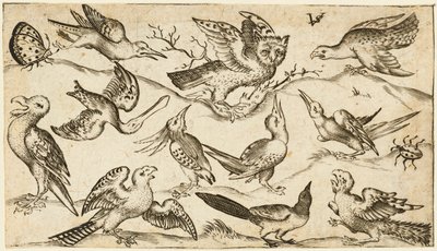 Elva fåglar och två insekter på minimal mark med uggla med utsträckta vingar sittande på en gren i mitten med andra fåglar som omger och retar uggla, från Douce Ornament Prints Album I, efter 1572 (gravyr på lagt papper) av Virgilius the elder (after) Solis