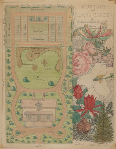 Markplan för stuga, ca. 1936. av Virginia Richards