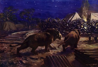 Lejon som strövar utanför ett arbetarläger på natten under byggandet av den ugandiska järnvägen (färg litho) av W.R.S. (after) Stott
