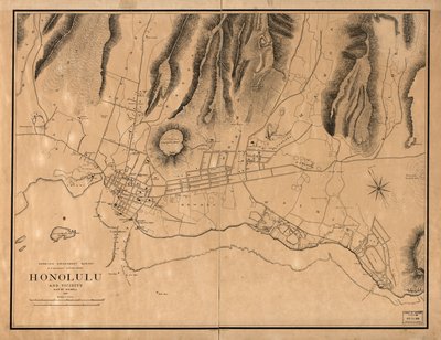 Honolulu med omnejd av W. A.; Alexander Wall