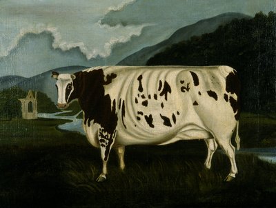 The Famous Craven Heifer (olja på duk) av W. D. Fryer