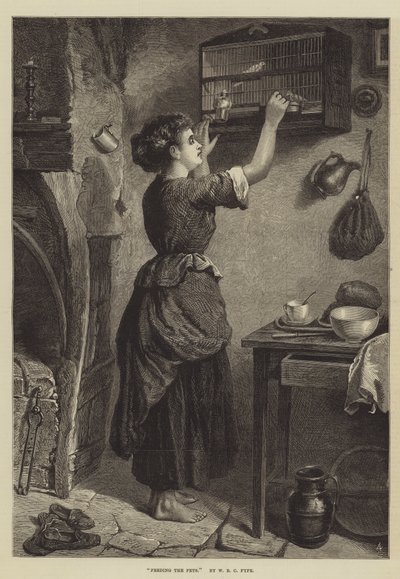 Mata husdjuren av W. Fyfe