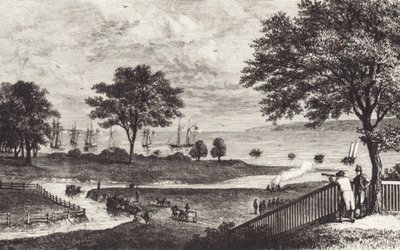 Buffalo (litho) av John Ward Dunsmore