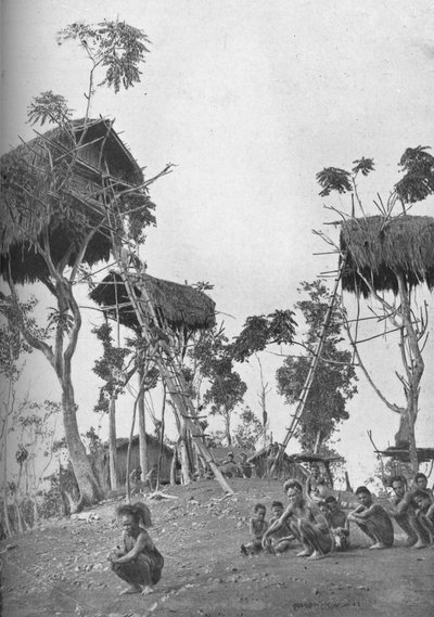 Dobos, trädkojor för ogifta kvinnor i Melanesia, 1902 av W. Lindt