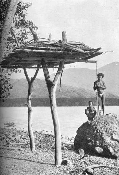 Bårhusplattform i Nya Guinea, 1902 av W. Lindt