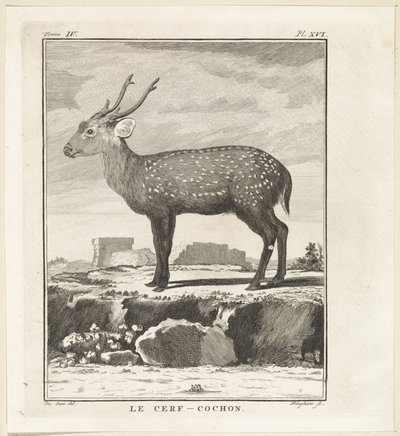 Hert Le Cerf-Cochon (titel på objekt) av W. Tringham