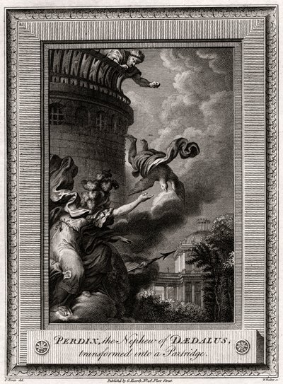 Perdix, brorsonen till Daedalus, förvandlades till en rapphöna, 1774 av W. Walker