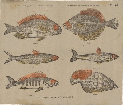 En grundel, karp, abborre, en rödspätta eller en fåra, / Det är som god mat, men vem har någonsin ätit ett horn? (titel på objekt) av W. and J. Hissink