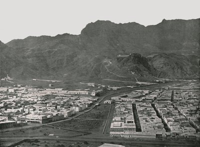 Allmän vy som visar Camel Market, Aden, 1895. av W and S Ltd