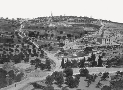 Oljeberget, Jerusalem, Palestina, 1895. av W and S Ltd