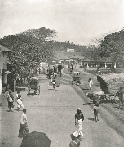 Gatubild nära rådhuset, Colombo, Ceylon, 1895. av W and S Ltd