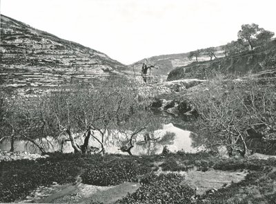 The Pool of Siloam, Jerusalem, Palestina, 1895. av W and S Ltd