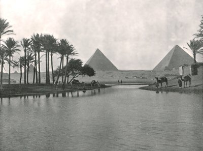 Pyramiderna och Nilen, Gizeh, Egypten, 1895. av W and S Ltd