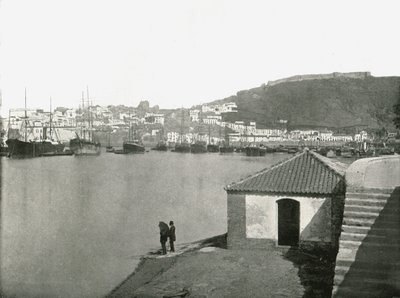 Staden och hamnen i Malaga, Spanien, 1895. av W and S Ltd