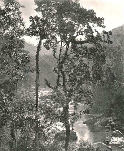 Utsikt över floden Kelani, Kurunegala, Ceylon, 1895. av W and S Ltd