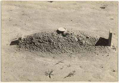 En baptistgrav, Hale County, Alabama av Walker Evans