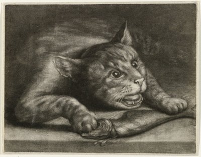 Katt med en fisk av Wallerant Vaillant