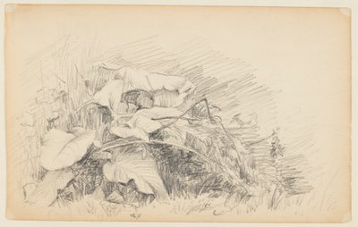 Studie av gräs och växter av Walter Clark