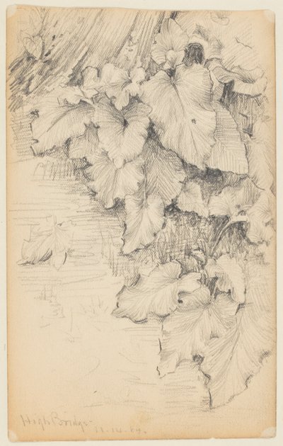 Study of Plants at the Edge of Water, High Bridge av Walter Clark