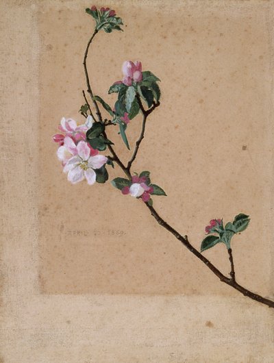 "Apple Blossom", 1869 av Walter Crane