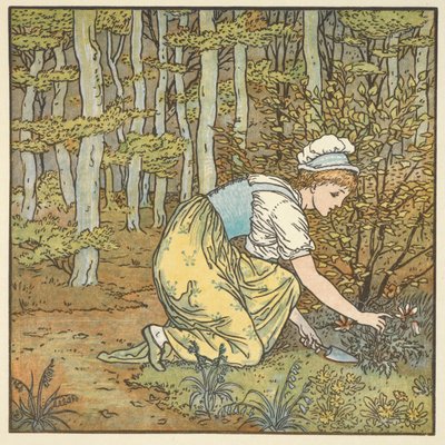 Färgillustration för 