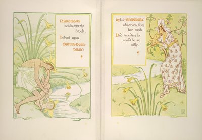 Narcissus och ögontröst av Walter Crane