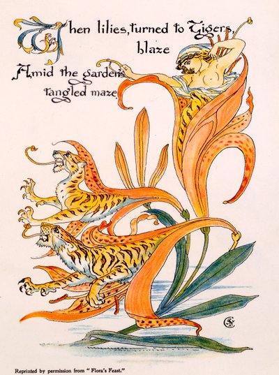 Tiger Lilies, illustration från 