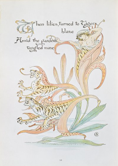 "När liljor vände sig till Tiger Blaze", illustration till "Flora