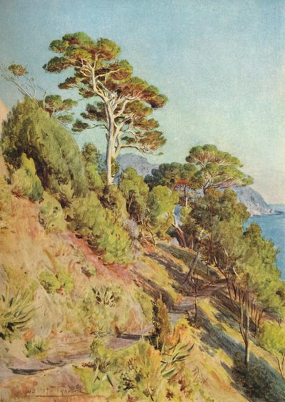 I Villa Piuma, Sestri Levante, c1910, 1912 av Walter Frederick Roofe Tyndale