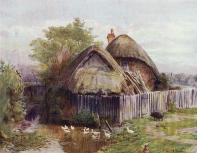 The New Forest: A Cottage at Bartley (färg litho) av Walter Frederick Roofe Tyndale