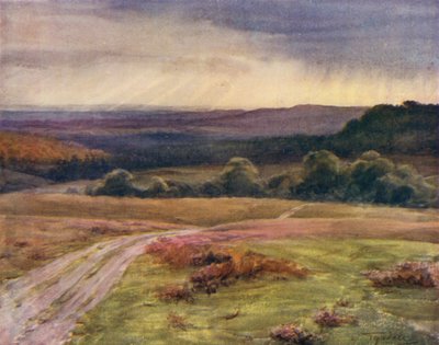 The New Forest: Boldrewood Walk, Puck Pitts, från Fritham Road (färg litho) av Walter Frederick Roofe Tyndale