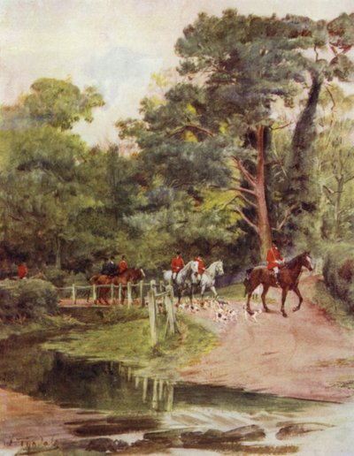 The New Forest: Minstead Brook (färg litho) av Walter Frederick Roofe Tyndale