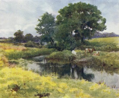The New Forest: On the Lymington River (färg litho) av Walter Frederick Roofe Tyndale