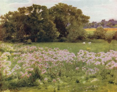 The New Forest: Riversdale, Boldre (färg litho) av Walter Frederick Roofe Tyndale