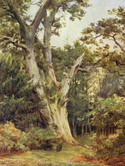 The New Forest: The King at Boldrewood (färg litho) av Walter Frederick Roofe Tyndale