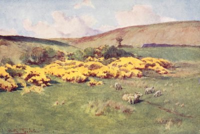 Wessex: Sommaren i Wessex (färglitografi) av Walter Frederick Roofe Tyndale