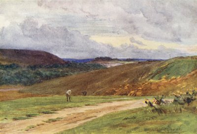 Wessex: Broadstone Golf Links, nära Poole (färglitografi) av Walter Frederick Roofe Tyndale