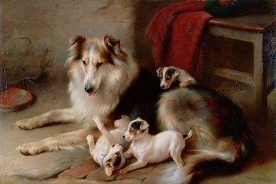 En Collie med Fox Terrier-valpar, 1913 av Walter Hunt