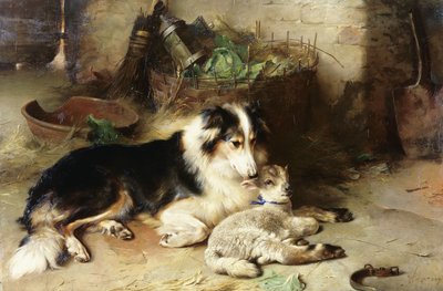 Moderlös: Herdens husdjur av Walter Hunt