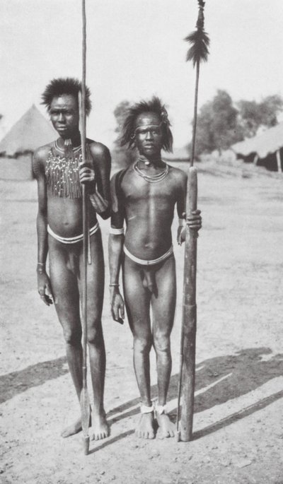Stäppbor i övre delen av Nilen (svartvitt foto) av Walter Mittelholzer