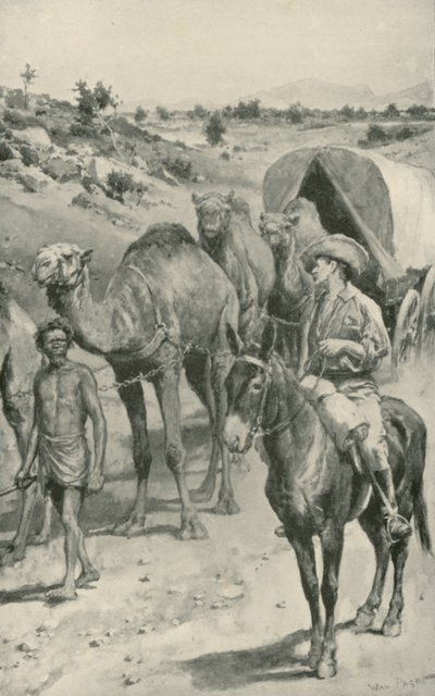 En kamelvagn, västra Australien av Walter Stanley Paget