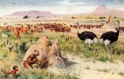 A South African Plain: Before the Coming of the White Man av Walter Stanley Paget