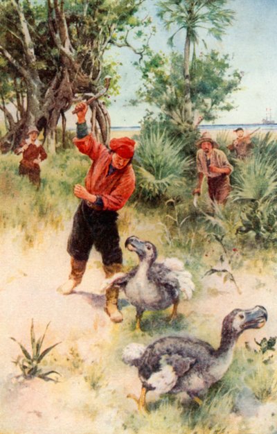 Holländska sjömän jagar Dodos (färglitografi) av Walter Stanley Paget