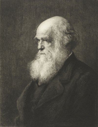 Charles Robert Darwin (gravyr) av Walter William (after) Ouless