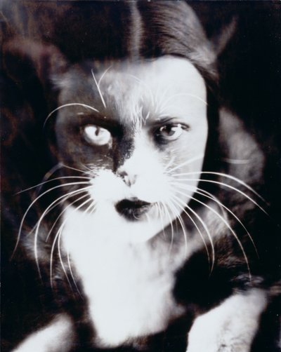 Katten och jag av Wanda Wulz