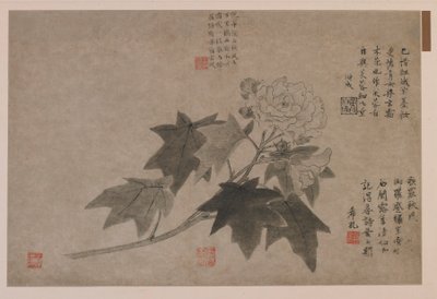 Hibiscus, 1347. av Wang Yuan