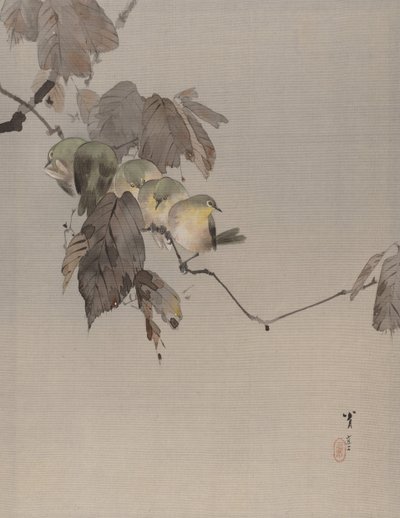 Fåglar på en gren, ca. 1887. av Watanabe Seitei